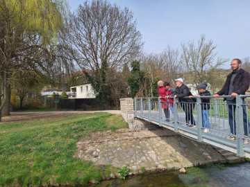 egy kis nézelődés