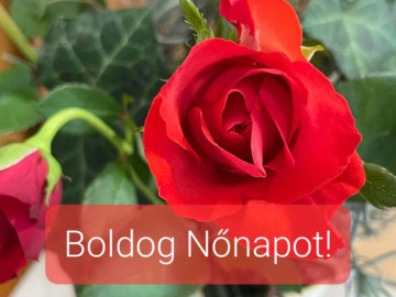 Boldog Nőnapot!