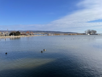 A Balaton lakói