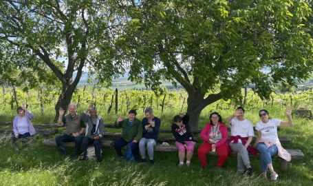 A legnagyobb fa árnyékában