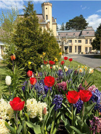 Tegyük szebbé a környezetünket!