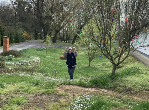 Tojáskeresés az udvaron