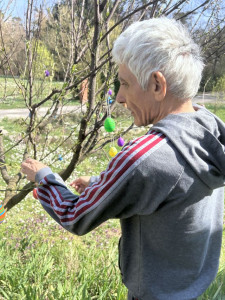 Ellátottunk tojást rak a fára