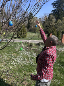 Nyírfa Otthon tojásfája