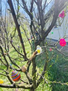 Tavaszi hangulatot kelt a madár a tojásfán