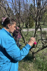 Női ellátottunk is segít díszíteni