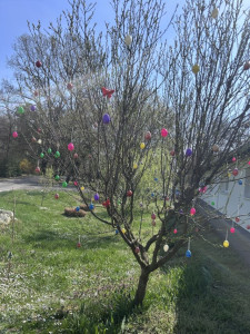 Az elkészült színesebbnél színesebb tojásfa