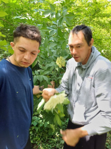 Minél nagyobb virágot keresnek