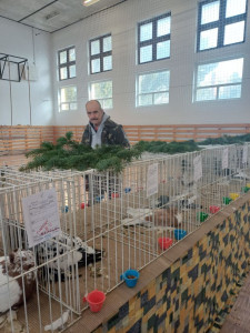 Hosszú sorokban sétálva