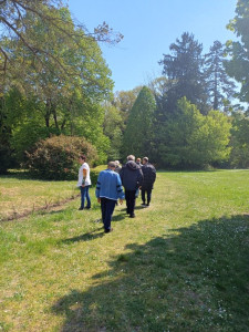 Mókusokat nézegettünk