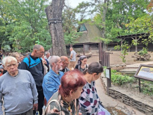 A kifutóra szegeződtek a tekintetek