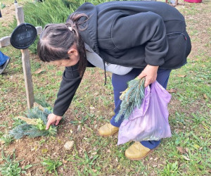 Sírcsokor elhelyezése 