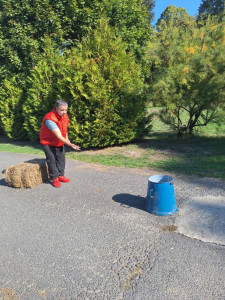 Krumplidobás 