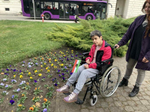 zászló elhelyezése