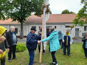 Párválasztás.