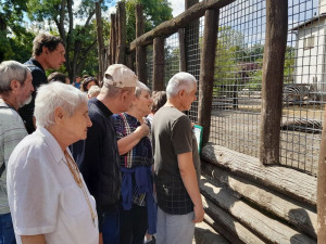 Ellátottjaink a zebra kifutója előtt