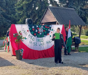 Az ünnepi műsor pillanatképei