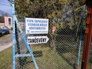 A tanösvény felé vezető út