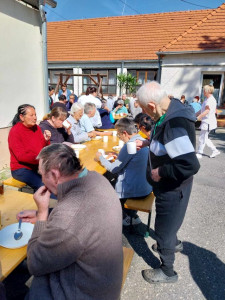 Virsli mustárral