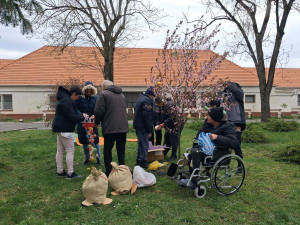 Díszek szétvállogatása