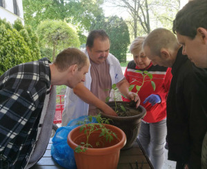 Paradicsom és paprika palántákat ültettünk