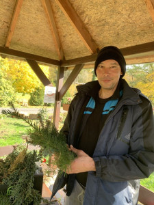 Szúrós fenyőágak