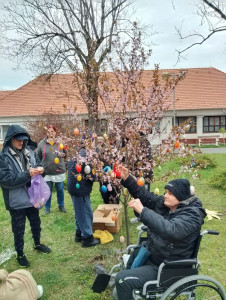 Tojásfa díszítés