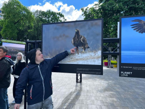természeti kép