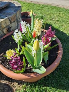 Nagy a kisértés, hogy ne vigyük be a szobánkba a virágokat