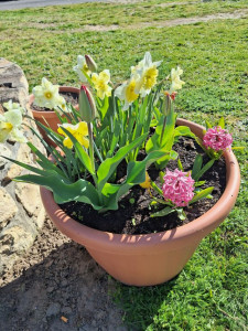 Az intézmény különböző részein elhelyezett szinfoltok