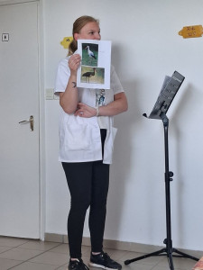 Előadás a gólyáról
