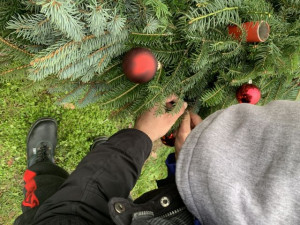 Apró horgokkal rögzítettük