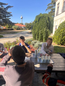 A közös program pillanatképei