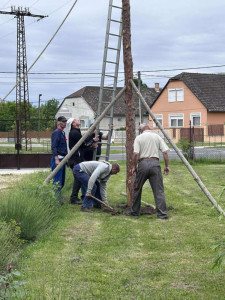 A fiúk nekilátnak a májusfa kidöntésének
