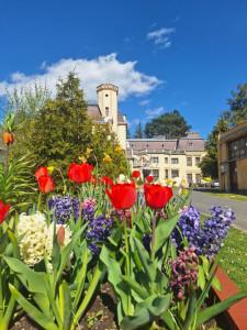 Nyírlaki üdvözlő képeslapunk