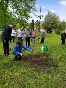 A tábla kitűzésre kerül