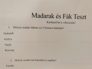 A teszt