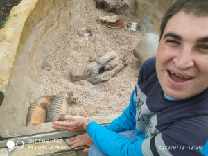 A lalók kedvencei a szunyókáló tatuk