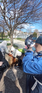 A savanyú vizes kútnál