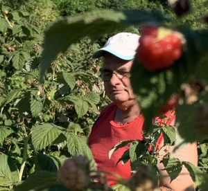 A málnabokor mögött ellátottunk kukucskál.