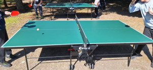 Pingpong