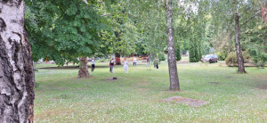 Röplabda