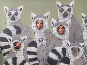 Fotófalnál pózoltak lakóink