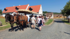 Lovas kocsira szállás után ellenőrzés, hogy mindenki jó helyen ül-e.