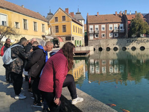 Halnézés a Malom-tónál