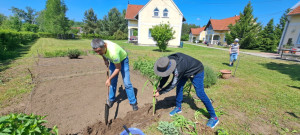 Elültetjük a palántákat a közösségi kertben