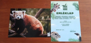 A kép és az oklevél az örökbe fogadott kis pandáról