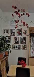 Pipacsok a fényképek előtt