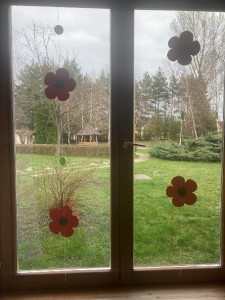 Pipacsok az ablakokon