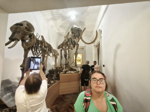 A természettudományi múzeum két hatalmas mamut csontváza